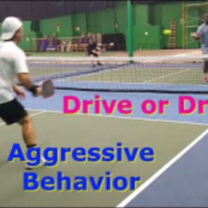 Drive or Drop? Pickleball Lesson#17 Know What to Do!