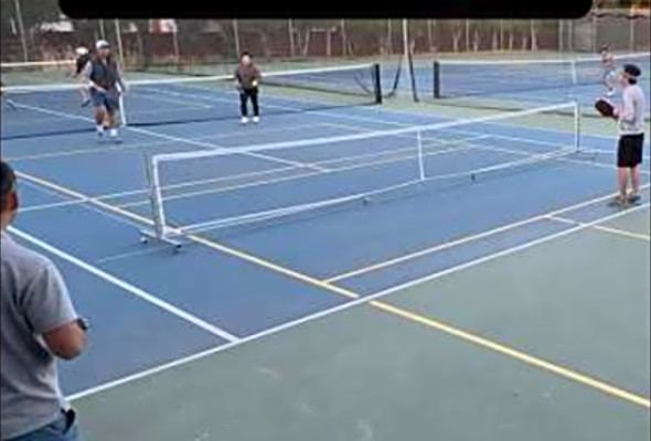 All 4 players FIGHT to...keep the point ALIVE! #pickleball #highlights #sports #fight #shorts