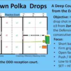 Drop Shot Pickleball - Downtown and Bus Stop Polka Drop