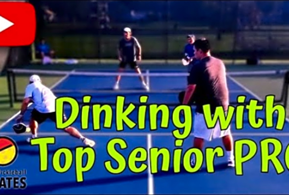 I Played Pickleball with KIWI Slice vs Top Senior Pro