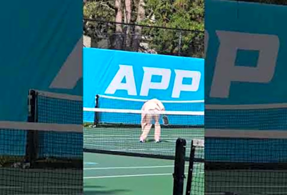 Johnny Pickles Plays Pickle Ball In Suit!