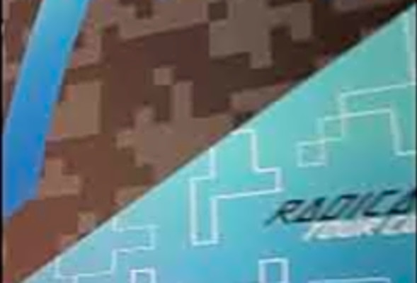 HEAD Radical Tour CO (Composite) Pickleball Paddle for 2020/21
