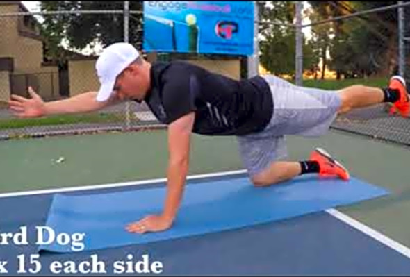 The Pickleball Doctor - Strength and Conditioning