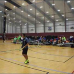2nd Round 5.0 Men&#039;s Doubles International Indoor Pickleball Championships