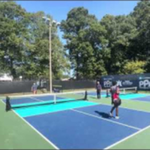 Mens 50-59 Singles Pickleball PPA Tournament 3.5 Gold Medal Match