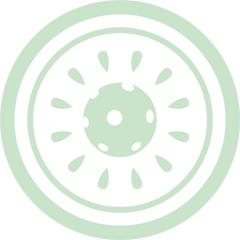 Kiwi Labs Pickleball