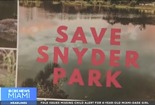 Plan for pickleball at Snyder Park stirs concern