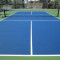 5.0 Pickleball