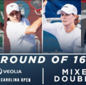 Parenteau/Alshon v David/H.Johnson at the Veolia North Carolina Open