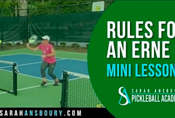 Rules For An Erne - Mini-Lesson by Sarah Ansboury
