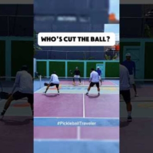 WHO&#039;S HIT THE BALL? #pickleball #shorts #viral