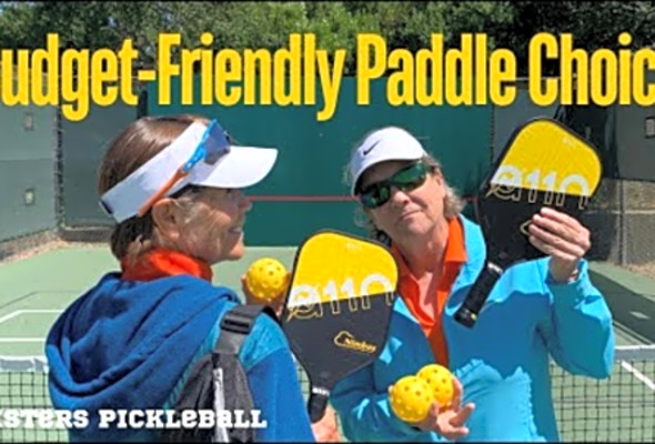 Is This Pickleball Paddle Good For Me?