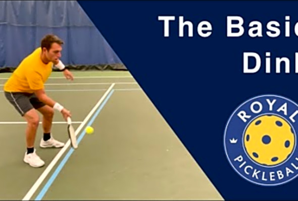 Fundamentals The Basic Dink