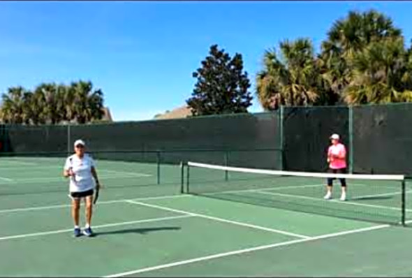 Pickleball: &quot;Punch, Drop, Swing - Reset the Point&quot;, Deb Harrison