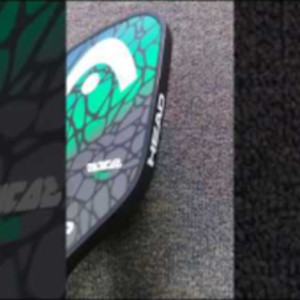 HEAD Radical Pro Pickleball Paddle for 2018/2019