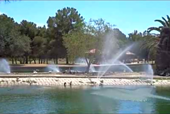 VISIT TO SUNSET PARK - BIRDS AND PICKLEBALL (7/12/2020)