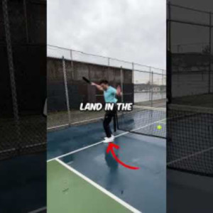Can you JUMP OVER the net? #pickleball #pickleballrules