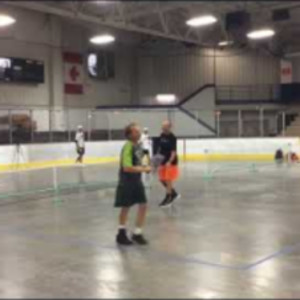 2018 Pickleball Fever in the Zoo/Great Lakes Regional - Mens Doubles 4.0...