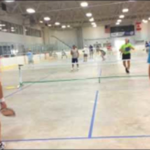 2018 Pickleball Fever in the Zoo/Great Lakes Regional - SSIPA Mens Doubl...