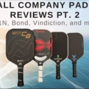 Small Company Pickleball Paddle Reviews Pt. 2: A11N, Bond, GetProQuik, V...