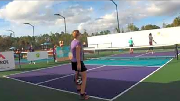 2020 World Pickleball Championships Matt Goebel/Sarah Ansboury VS Daniel Moore/Vivirnne David