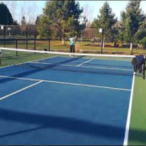 The Zane Navratil Pre-Spin Toss Serve By Zane Laughbon (Part 2)