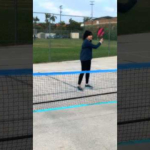 Prince pickleball Net! Check out my full demo review