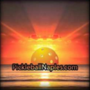 Beginner Pickleball Clinic Naples Florida Pickleball Capital of the World