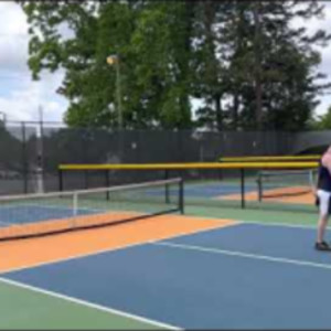 Celebrity upstart pickleball pro Collin Shick (almost beat Ben Johns guy...