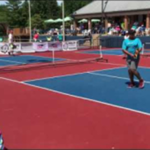 High-level Pickleball