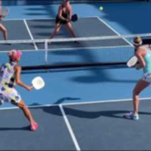 This Pickleball Point Had Over ONE MILLION Views on TikTok