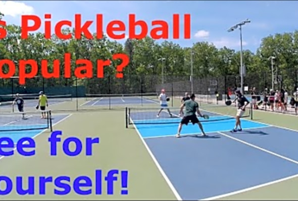 is Pickleball popular? see for yourself!