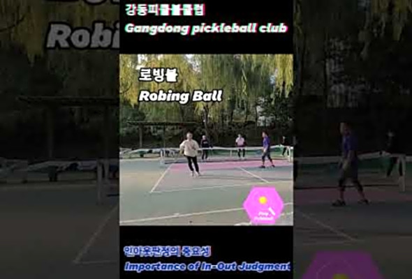 Importance of PickleBall In-Out Judgment