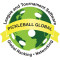 PICKLEBALL GLOBAL
