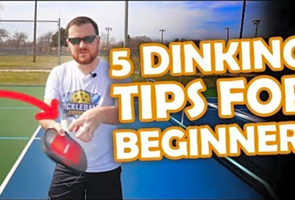 5 beginner tips to make your dinks 10x better