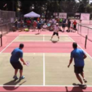 Ceccato, Worrell vs Curry, Schmidt Mens 5.0 Doubles Pickleball 2015