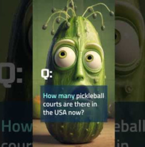 Pickleball Facts: How many pickleball courts are there in the USA?