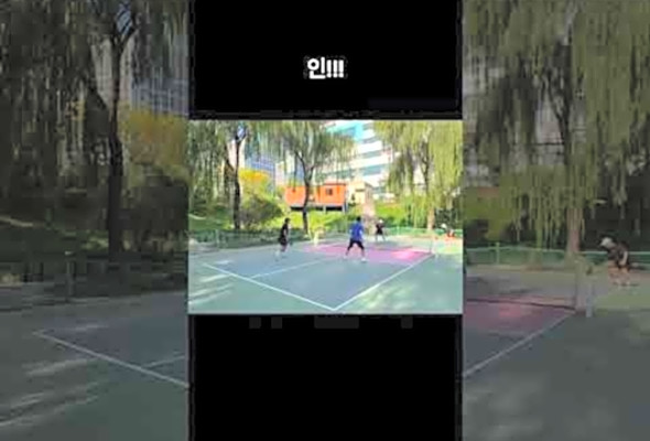 # #pickleball #pickleballpaddle #tennis #badminton #paddle #racquets #sports #