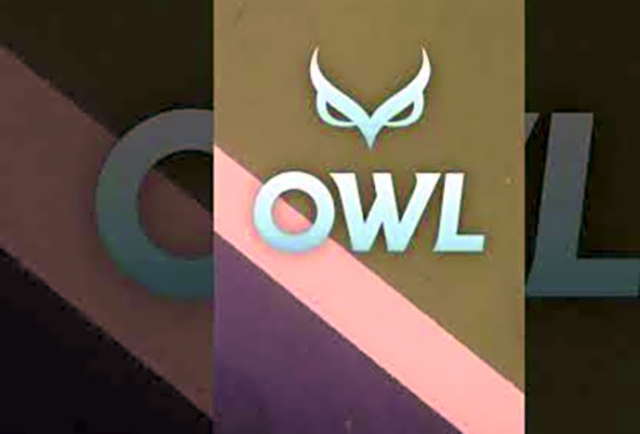 Quiet the Competition with OWL Paddles