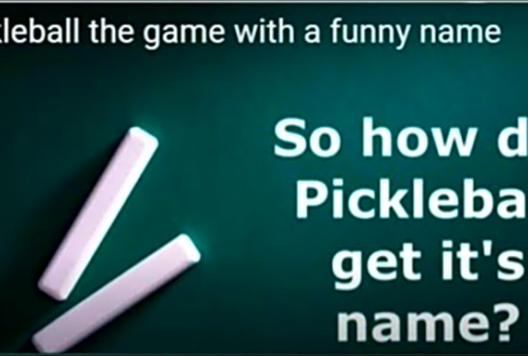 Pickleball the game with a funny name