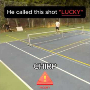 He called this shot &quot;LUCKY&quot;! #pickleball #highlights #sports #trashtalk ...