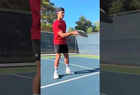 Affordable Raw Carbon Fiber Pickleball Paddle