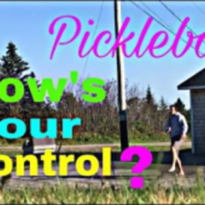 Pickleball: How Good is Your Control?