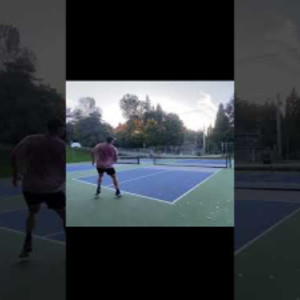 Pickle highlights from 10/13/24