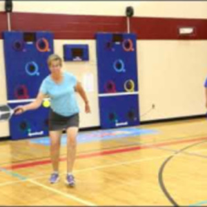 2019 Parkview Huntington Family YMCA Silver Bowl PICKLEBALL