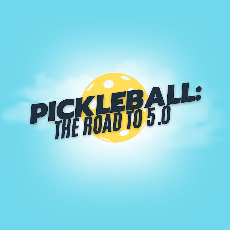 VR Pickleball