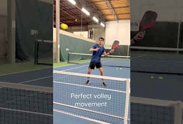 Perfect Pickleball Kitchen Volley Game #pickleball #volley #foryou #sports