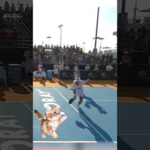 Perfect Pickleball Footwork