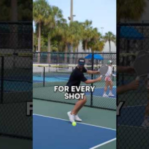 This Pickleball Paddle Changed The Game! #pickleball #pickleballcontent ...