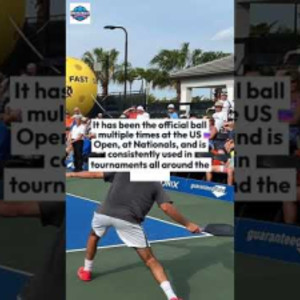 PickleBall. What ball do the pros use?